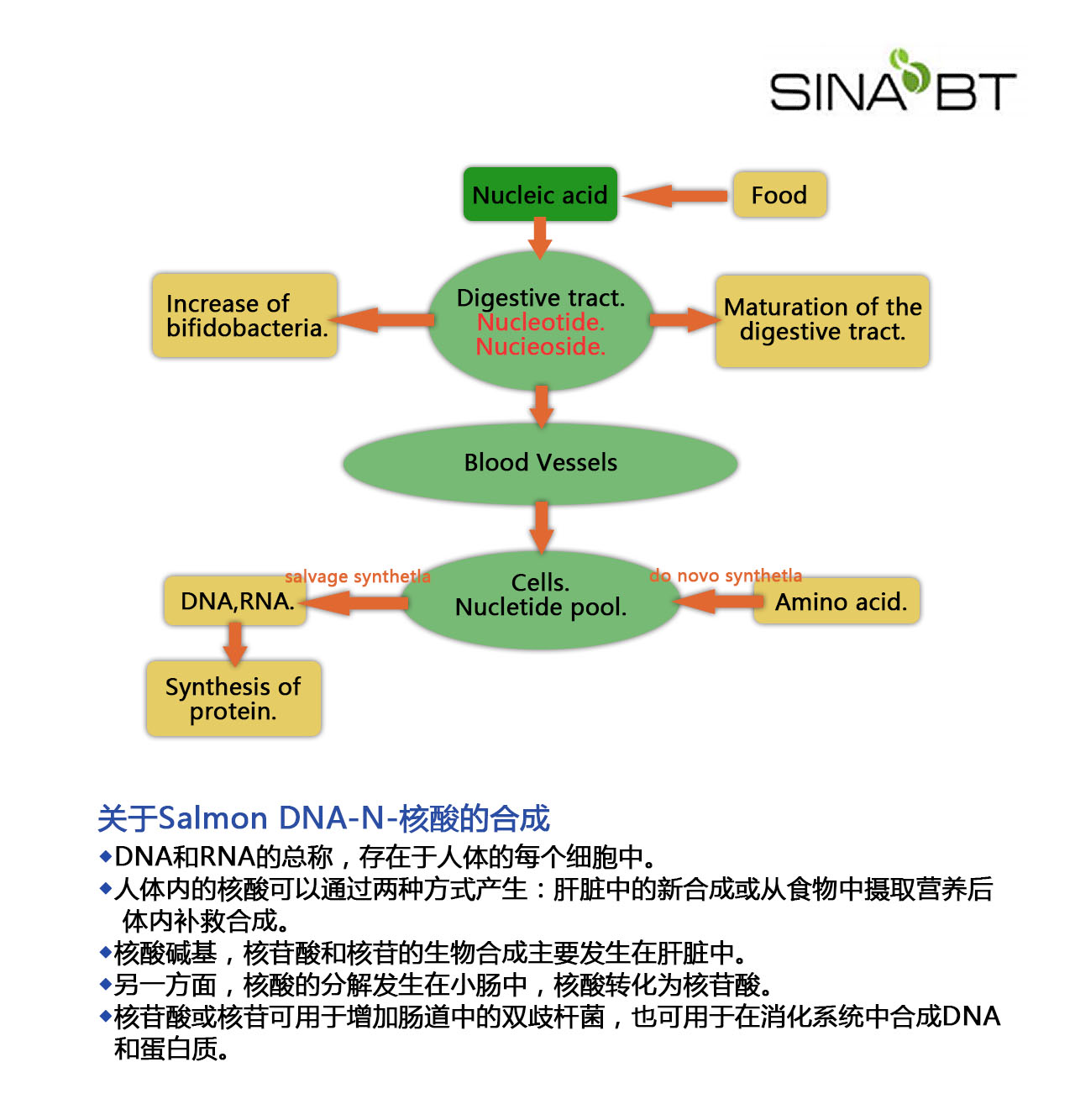 BC贷·官方(中国)_公司3808