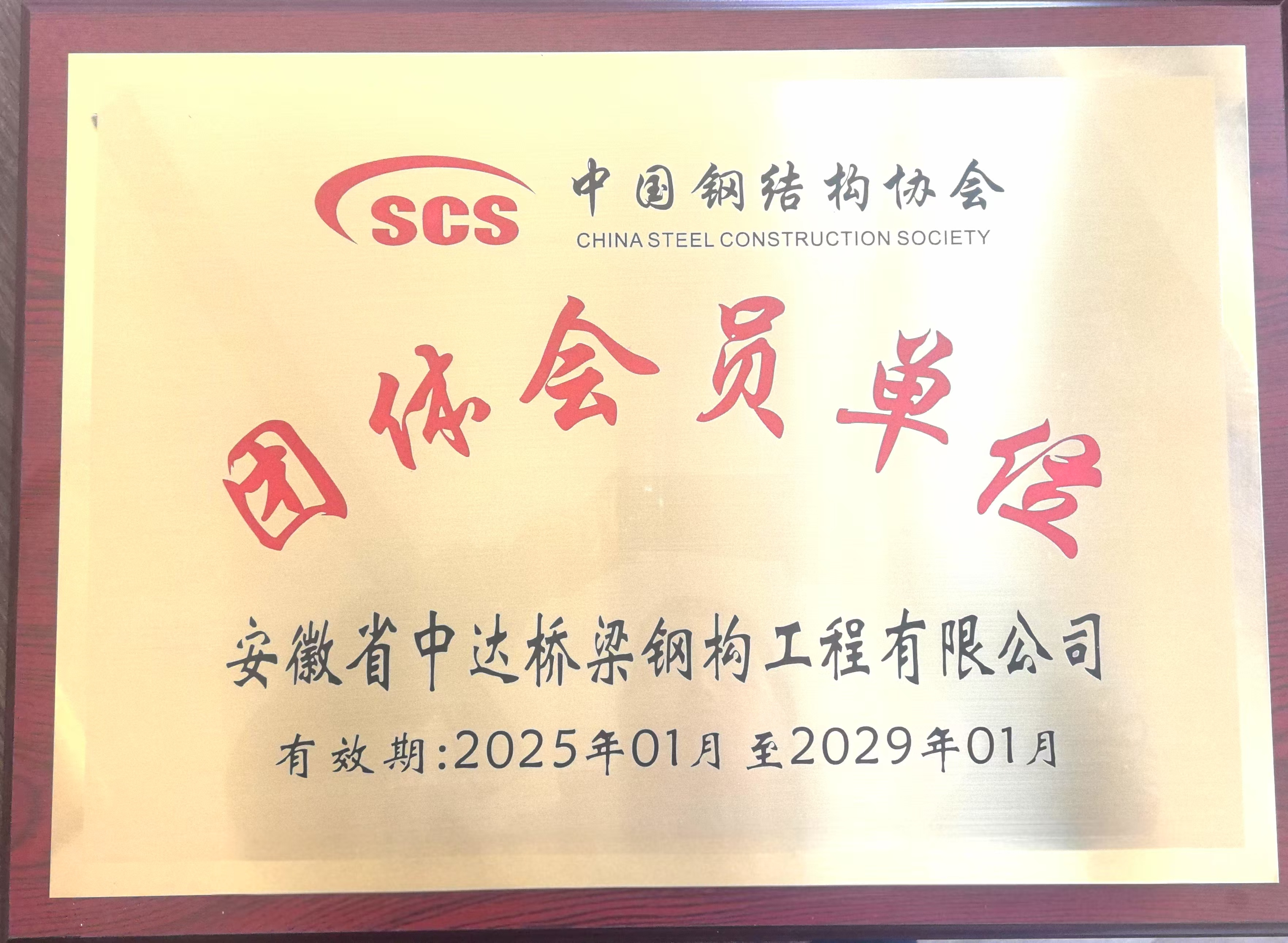 团体会员单位
